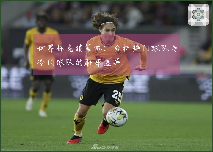 世界杯竞猜策略：分析热门球队与冷门球队的胜率差异