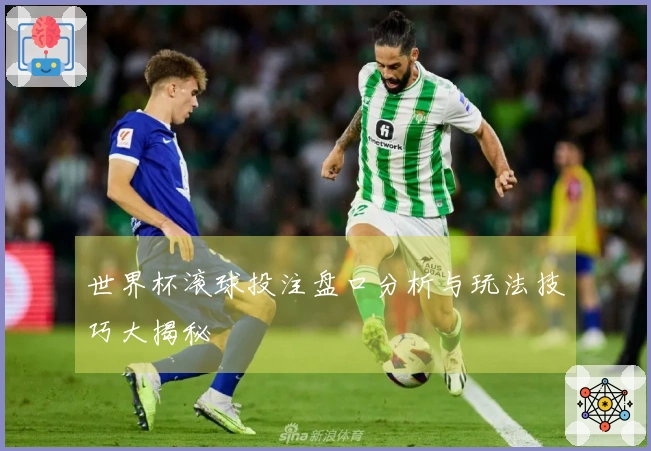 世界杯滚球投注盘口分析与玩法技巧大揭秘